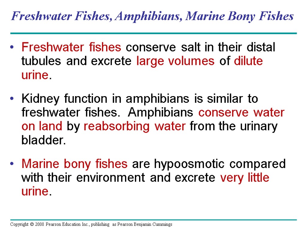Freshwater Fishes, Amphibians, Marine Bony Fishes Freshwater fishes conserve salt in their distal tubules
